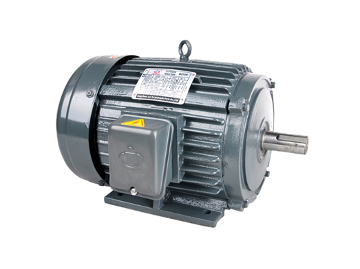 AEEF horizontal motor with external shaft